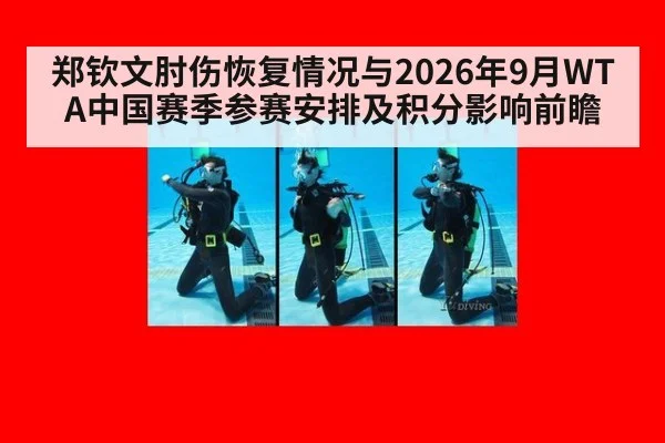 郑钦文肘伤恢复情况与2026年9月WTA中国赛季参赛安排及积分影响前瞻